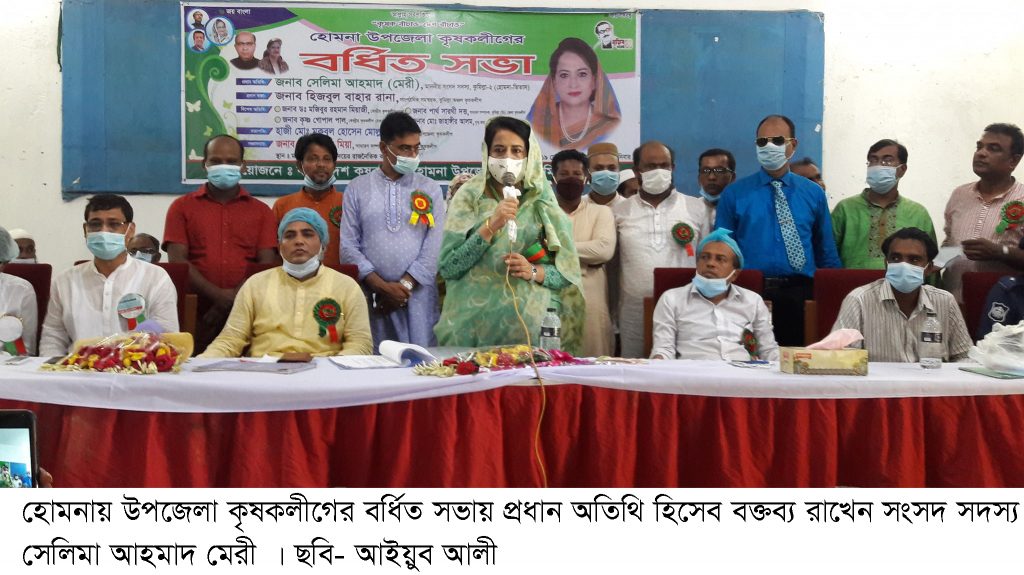 হোমনায় উপজেলা কৃষক লীগের বর্ধিত সভা