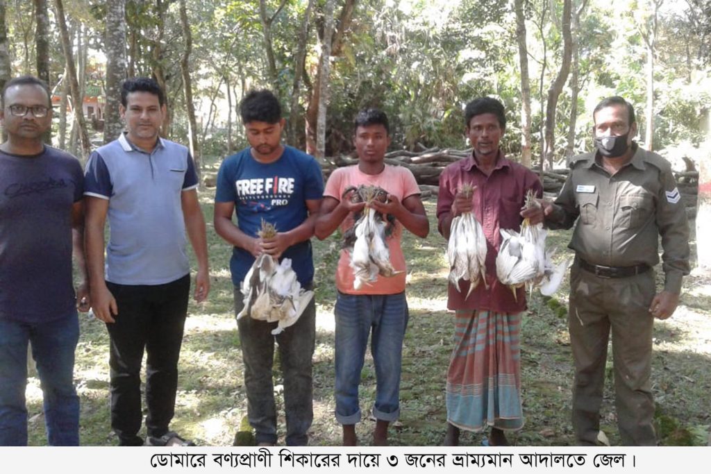 ডোমারে বণ্যপ্রাণি শিকারের দায়ে ৩ জনের জেল
