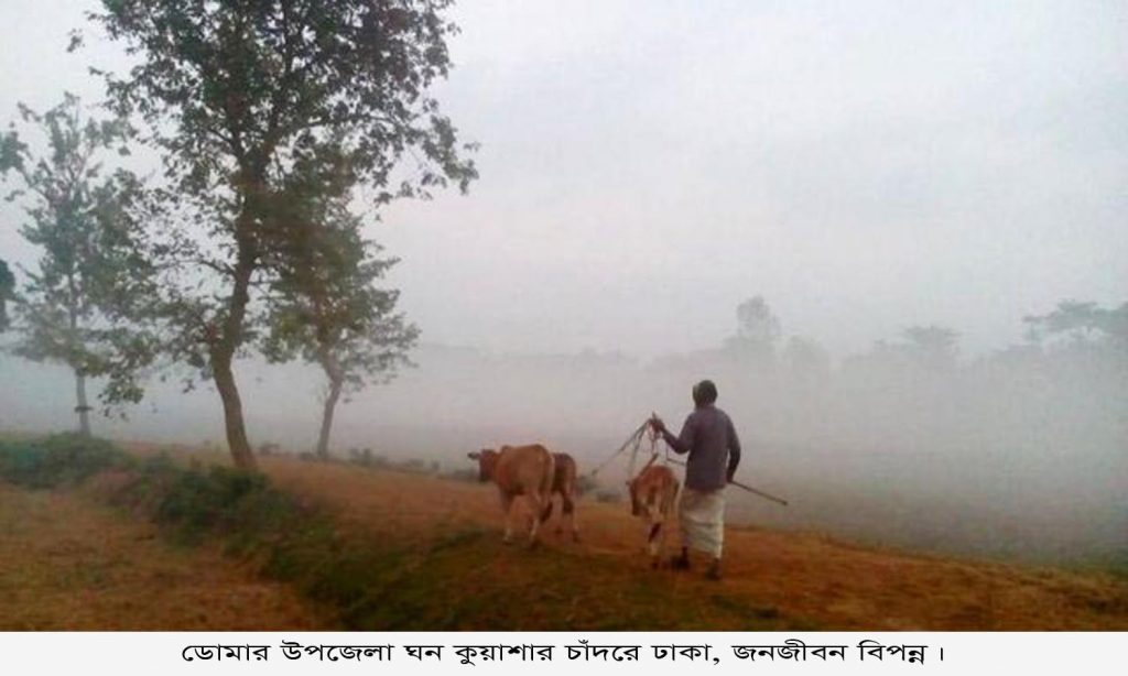 ডোমার উপজেলা ঘন কুয়াশার চাঁদরে ঢাকা, জনজীবন বিপন্ন