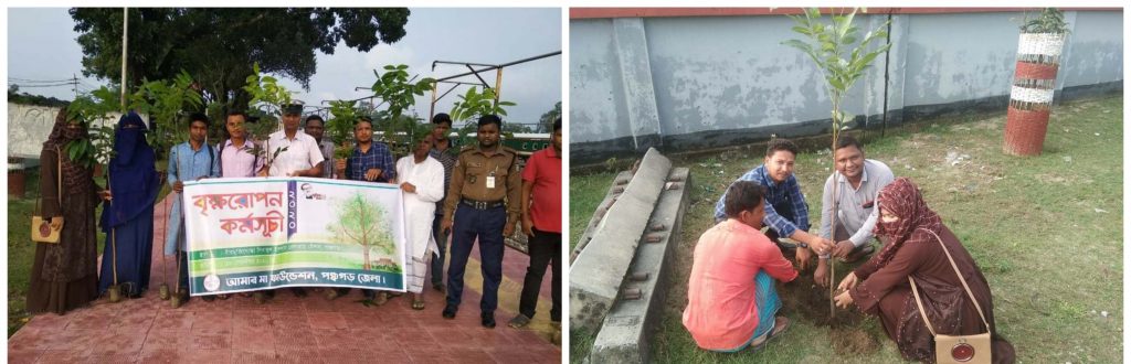 পঞ্চগড়ে আমার মা ফাউন্ডেশনের বৃক্ষরোপণ কর্মসূচি পালন 