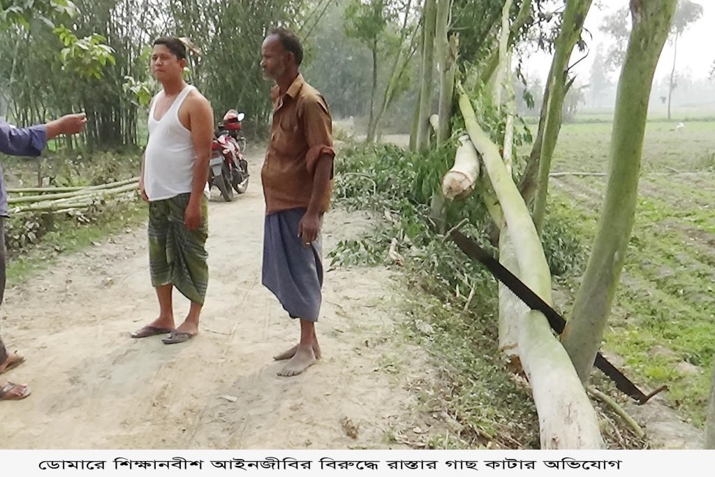 ডোমারে শিক্ষানবীশ আইনজীবীর বিরুদ্ধে সরকারি গাছ কাটার অভিযোগ
