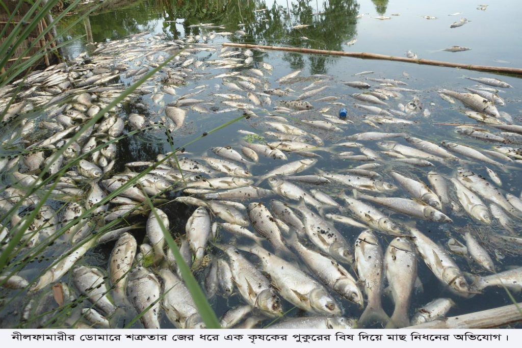 ডোমারে শত্রুতার জেরে বিষ প্রয়োগ করে পুকুরের মাছ নিধনের অভিযোগ
