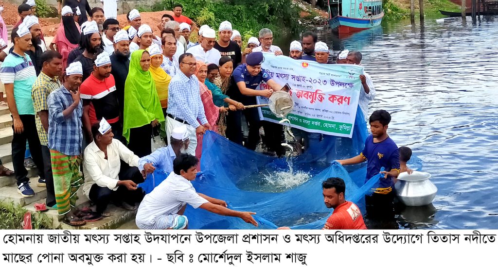 হোমনায় তিতাস নদীতে মাছের পোনা অবমুক্ত