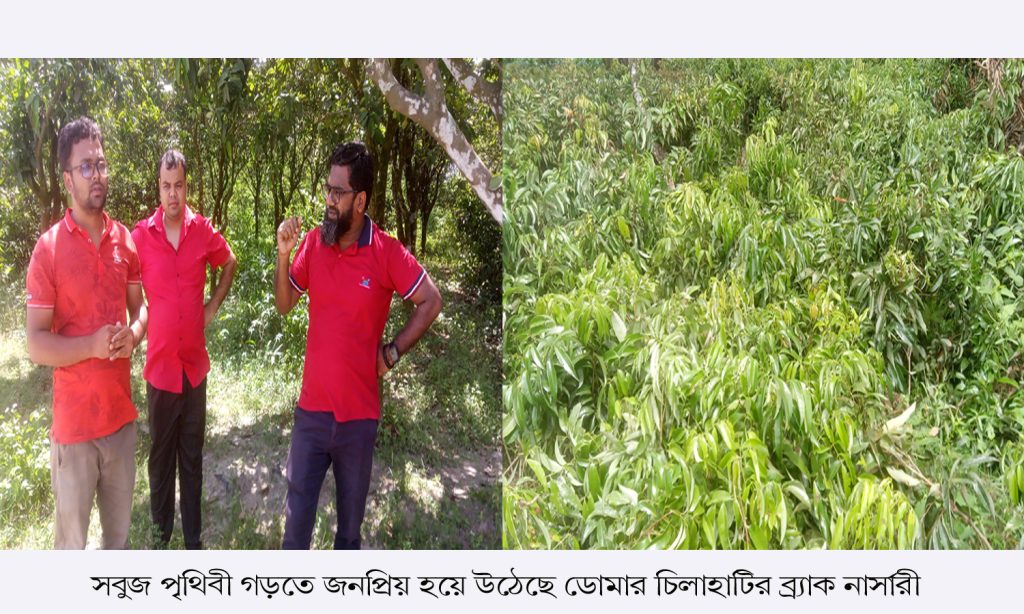 সবুজ পৃথিবী গড়তে জনপ্রিয় হয়ে উঠেছে ডোমার চিলাহাটি এলাকার ব্র্যাক নার্সারী