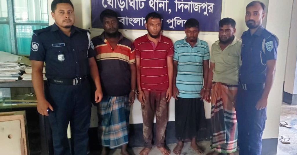 ঘোড়াঘাটে ভুট্টার গুদামে ডা’কাতির প্রস্তুতিকালে ৪ ডা’কাত আটক