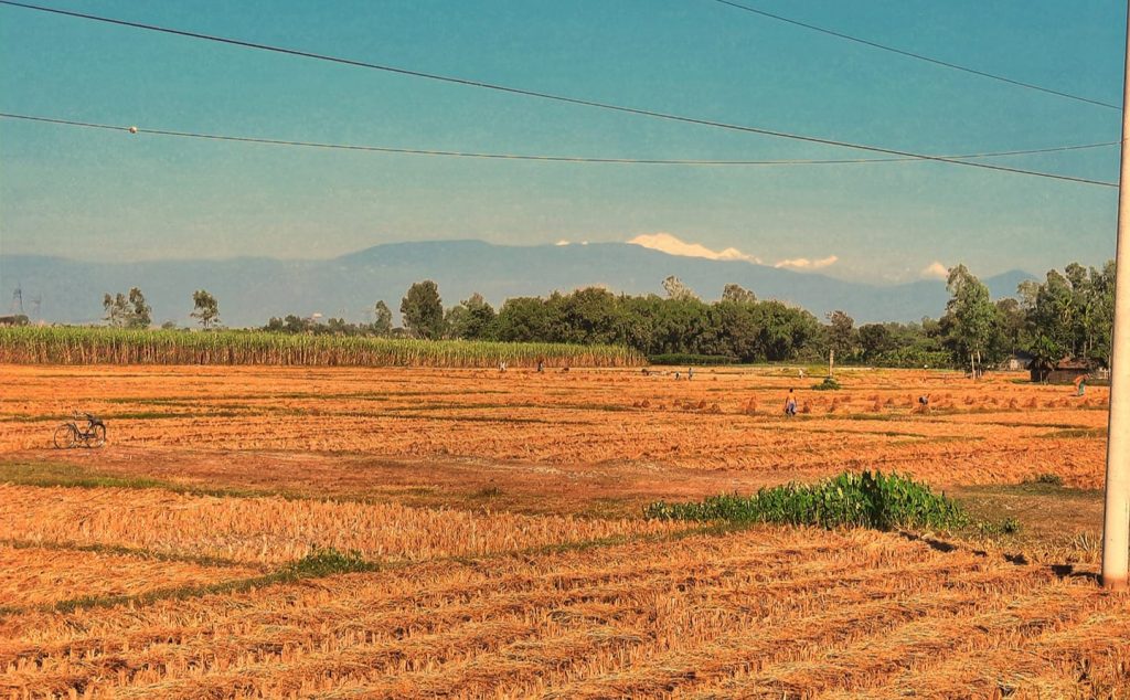পঞ্চগড়ে উঁকি দিচ্ছে আকাশচুম্বী অপরূপ সৌন্দর্যের কাঞ্চনজঙ্ঘা