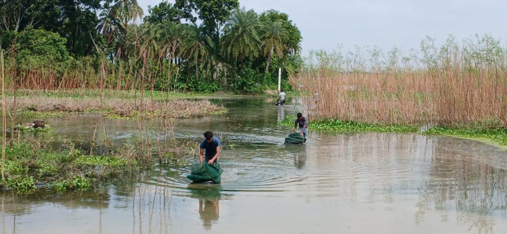 পুঠিয়ায় সাড়ে ৩ লক্ষ টাকার অবৈধ চায়না দুয়ারী ও কারেন্ট জাল জব্দ