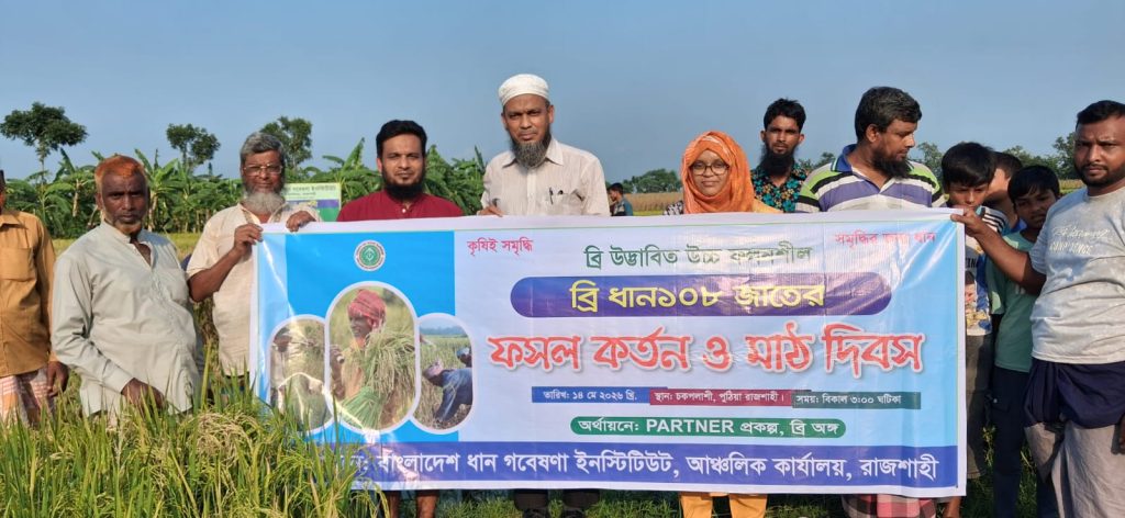 পুঠিয়ায় ব্রি ধান-১০৮ নিয়ে আশার আলো, মাঠ দিবসে উচ্ছ্বসিত কৃষকেরা