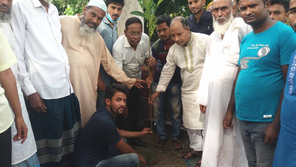 মুজিববর্ষ উপলক্ষে নাসিরনগরে বিদ্যালয় আঙ্গিনায় বৃক্ষরোপণ